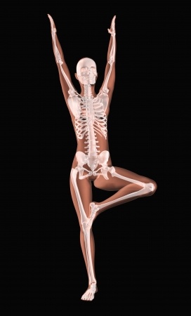posture et tonus du corps