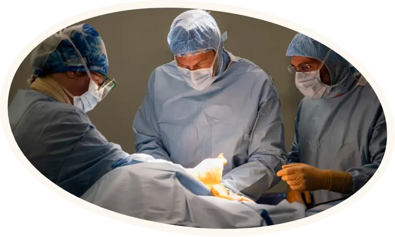 Les informations patients centre de l'épaule bordeaux Dr Eric Lesprit Dr Vincent Tournier